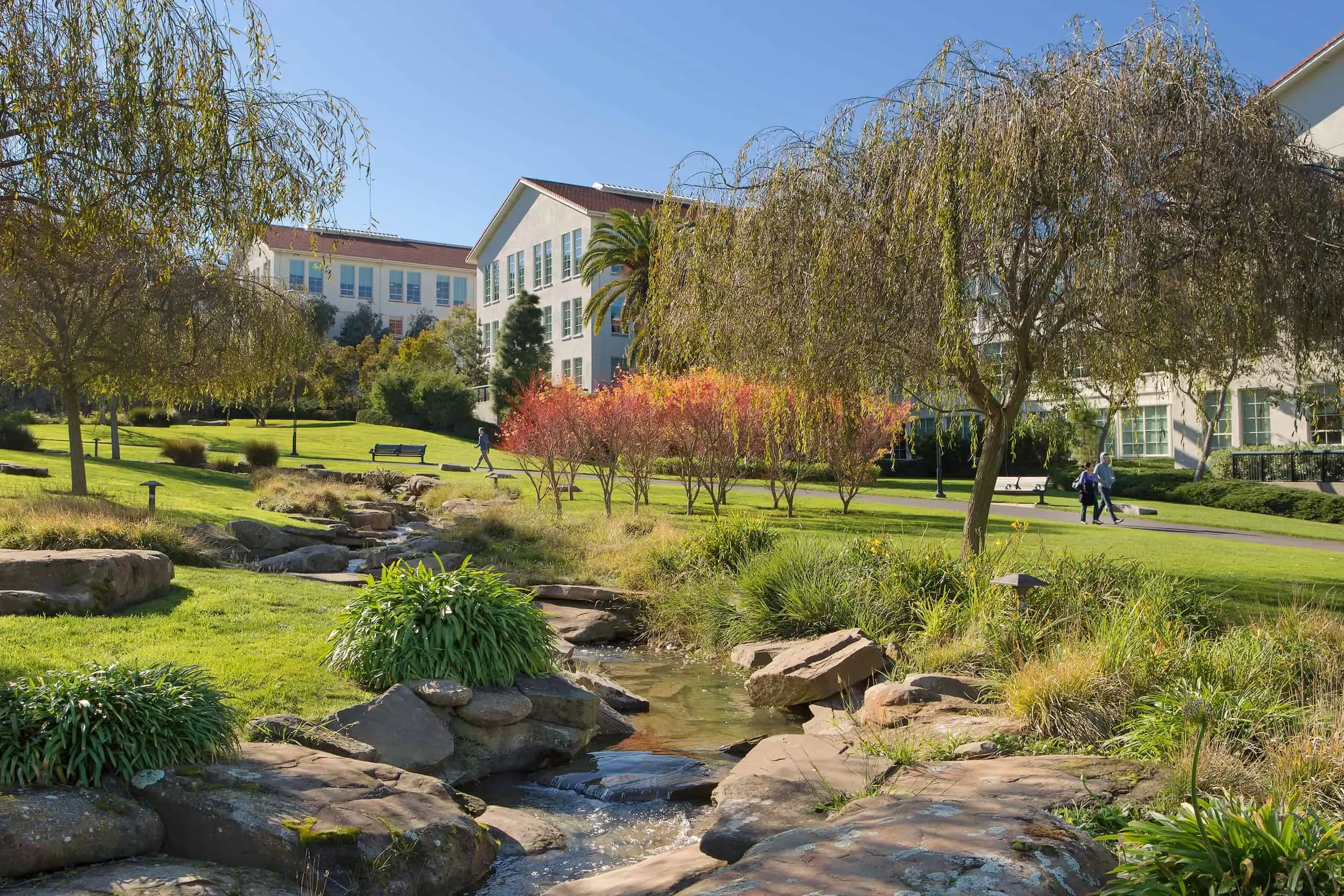 Village office in San Francisco with a pond and fountain in the foreground